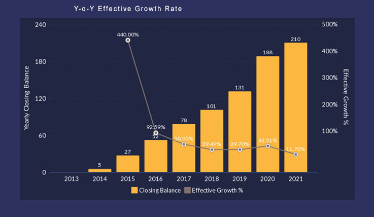 Y-o-Y Effective Growth Rate